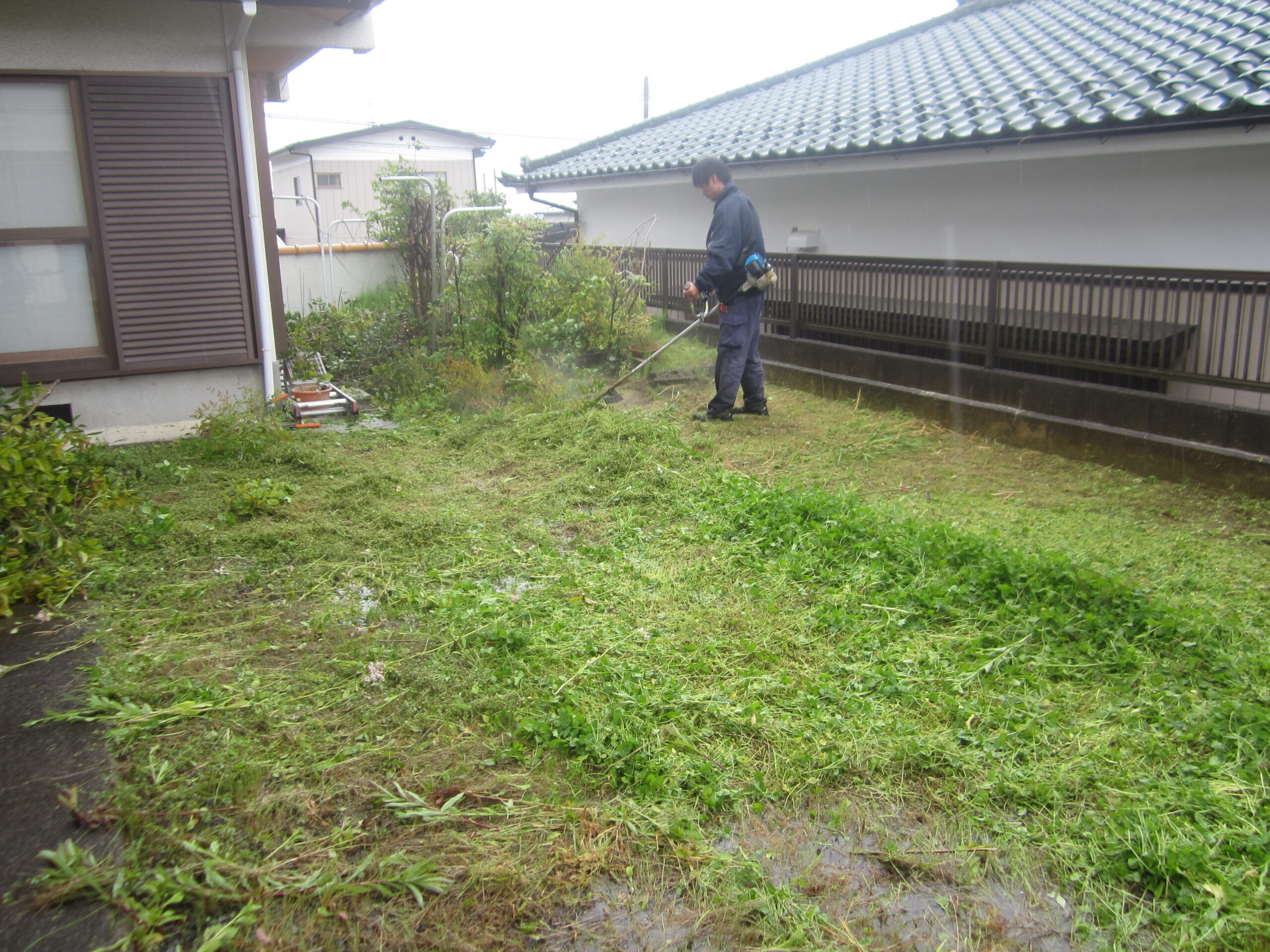 空き家の剪定前