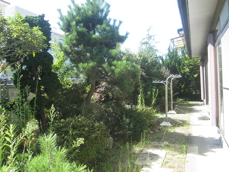 空き家による近隣トラブルのリスク