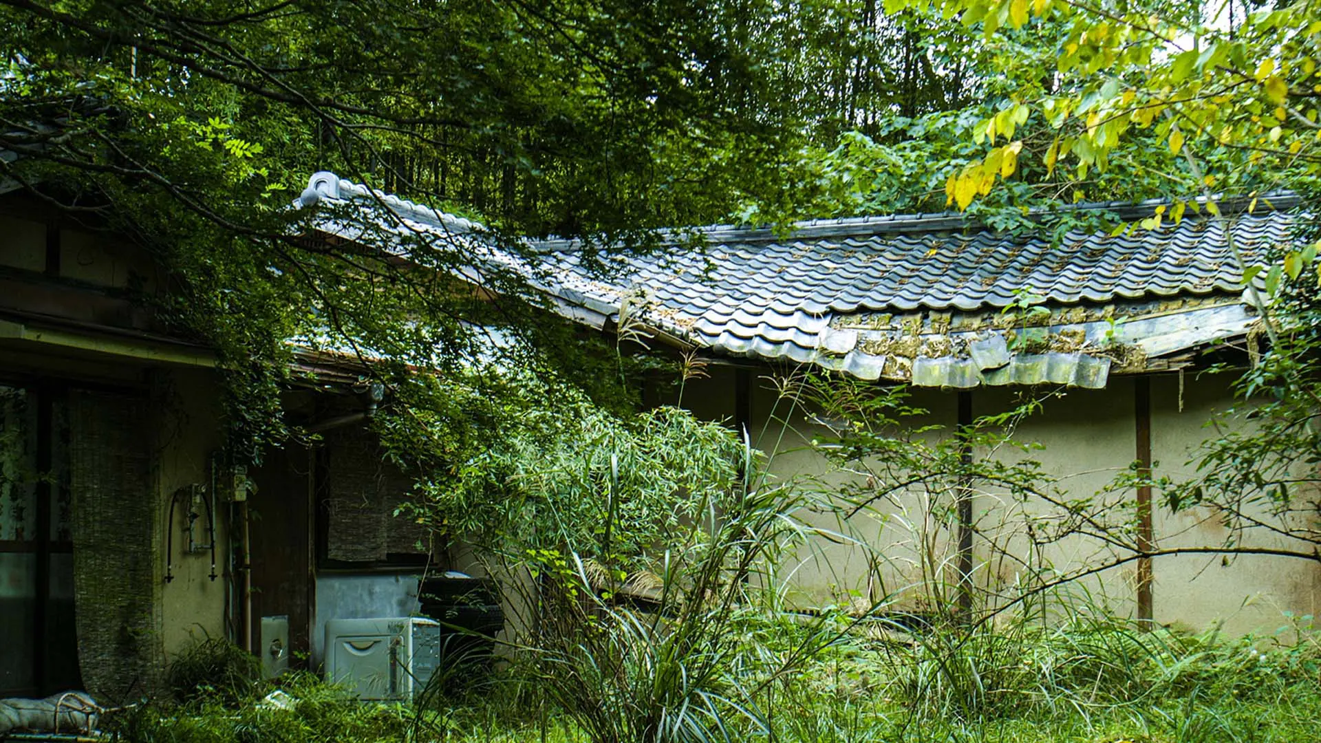 売れないと言われた空き家・不動産