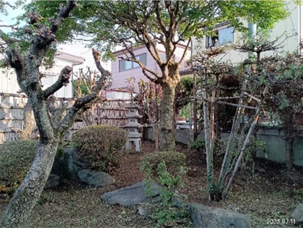 庭木のある庭