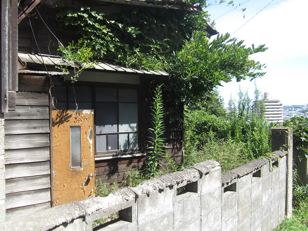 草木に覆われた古い家屋