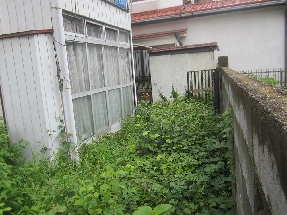 草が茂った建物脇