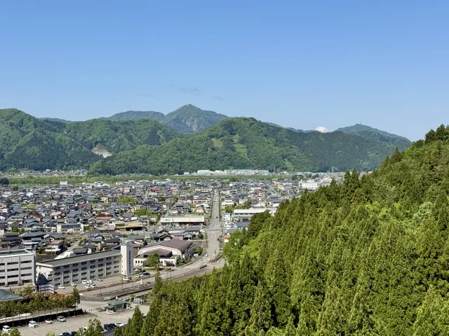 県外に住んでいて
様子を見に行けない