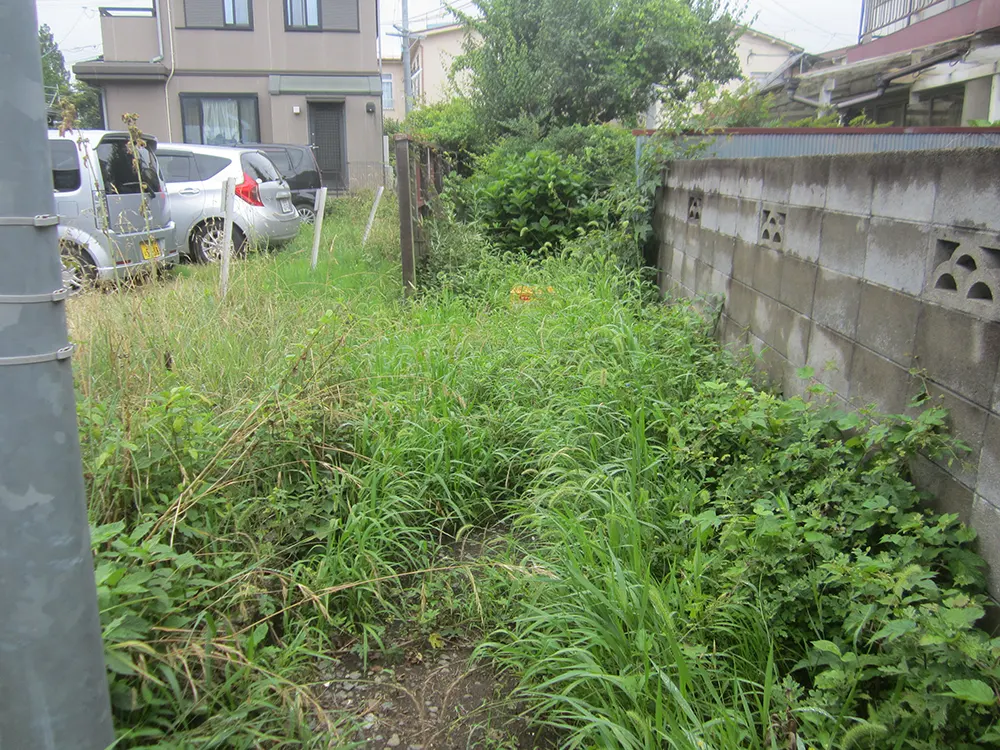 草が生い茂った空き地