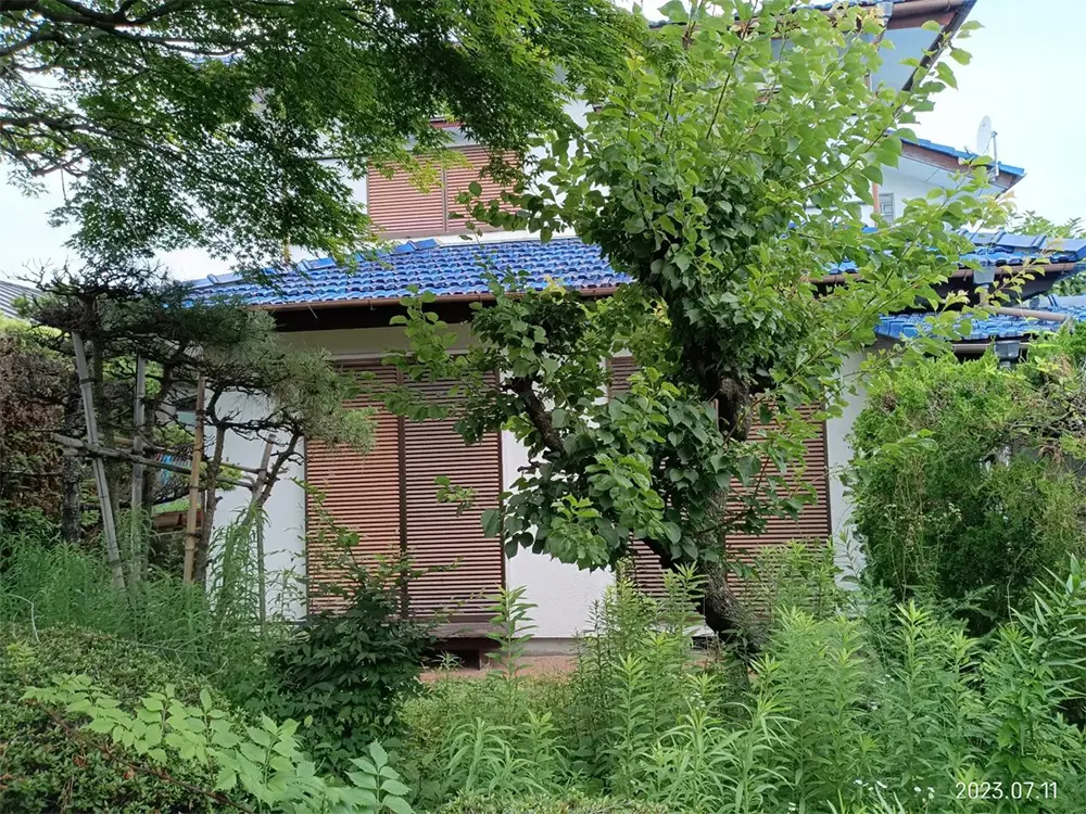 草木に囲まれた住宅の外観